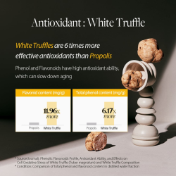 Зволожувальний регенеруючий міст-серум з білим трюфелем D'ALBA White Truffle First Spray Serum фото 4