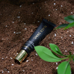 Сыворотка-роллер для кожи вокруг глаз FarmStay Black Snail Premium Rolling Eye Serum фото 4